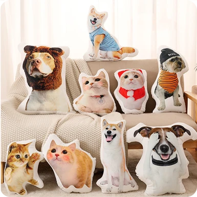 Customized Pillow Navigation Image V1