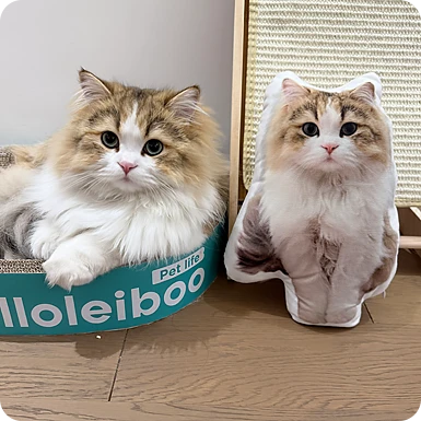 Customized Pillow Navigation Image V2