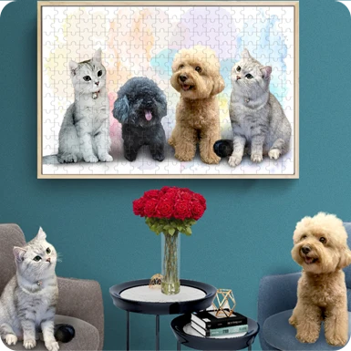 Customized Pillow Navigation Image V5