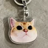 Cute Custom Acrylic Pet Keychain P12