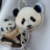 Cute Custom Acrylic Pet Keychain P15