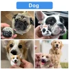 Painted Pet Refrigerator Magnets P08
