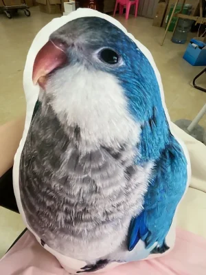 Birds Are Also Wonderful Pets.