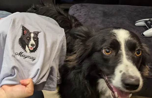 I Like This Embroidery Very Much.