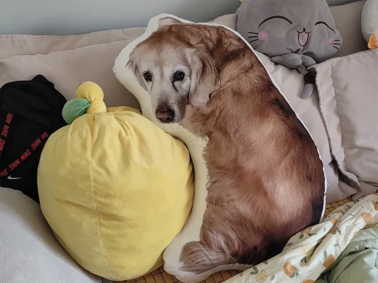 I Really Like This Little Thing.