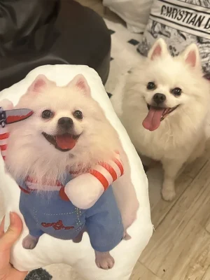 It Seems To Like It Very Much.