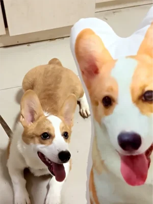 Small Eyes Are Filled With Great Curiosity.