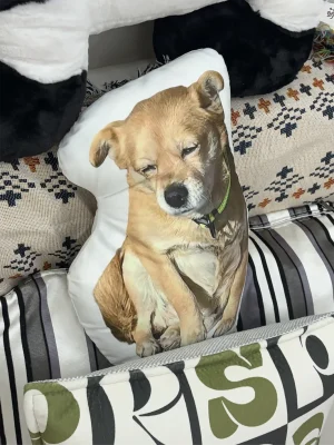 The Candid Shot Skills Are Pretty Good.